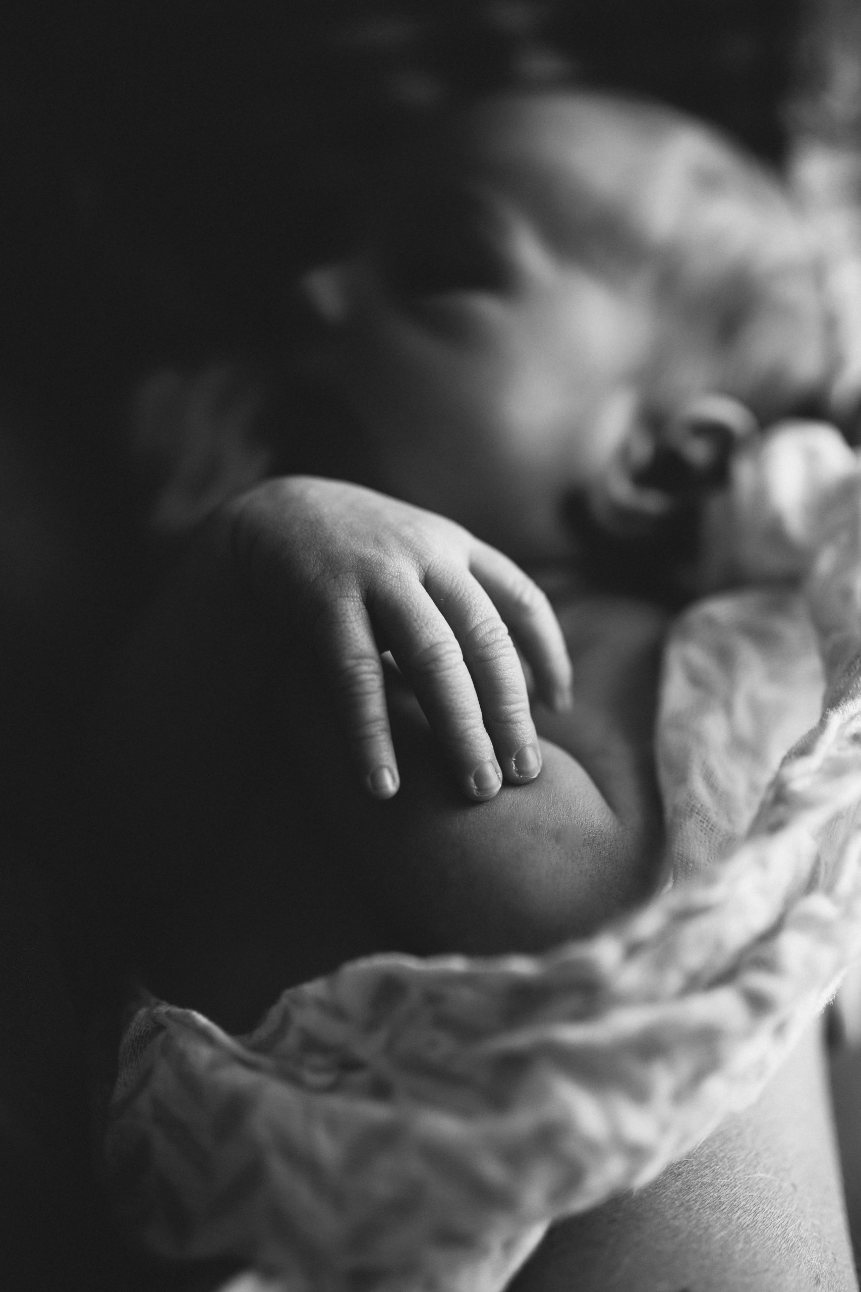 newborn photographer, tampa bay fl