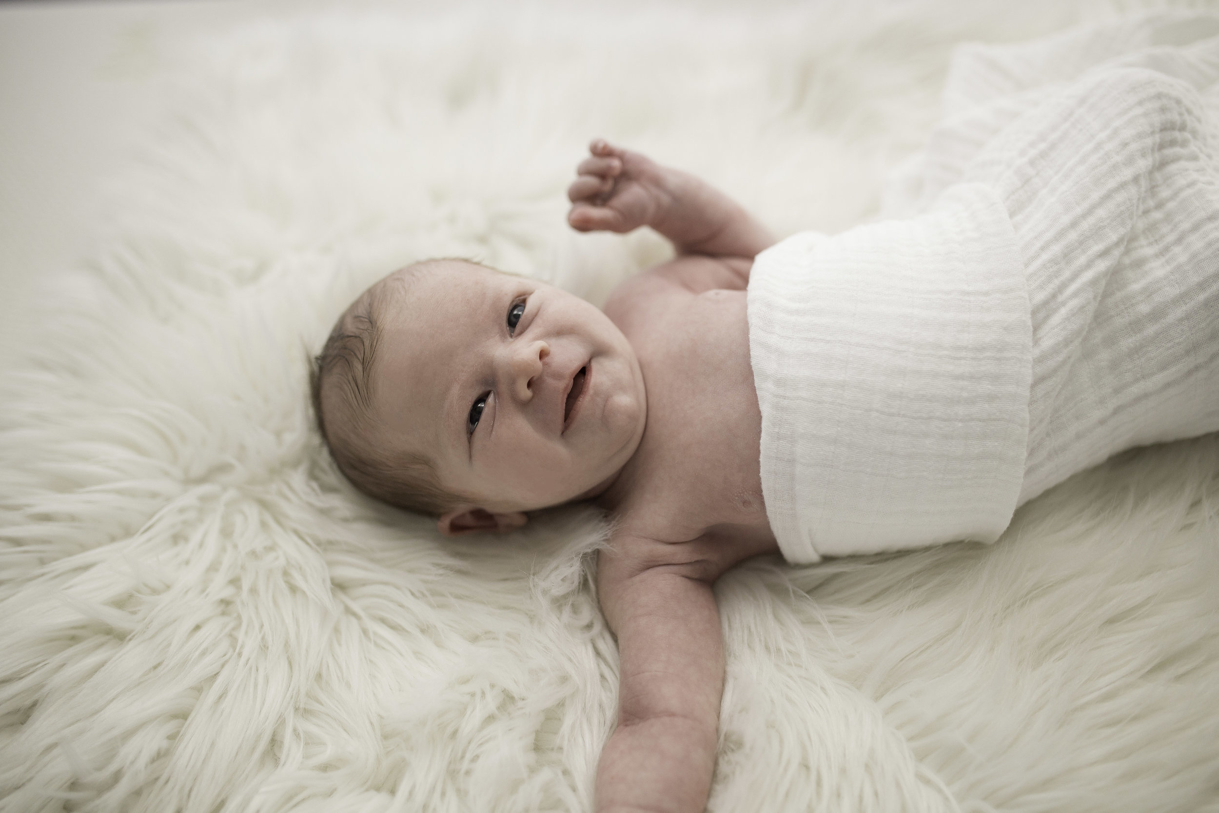 in home newborn photo shoot, pinellas county fl 