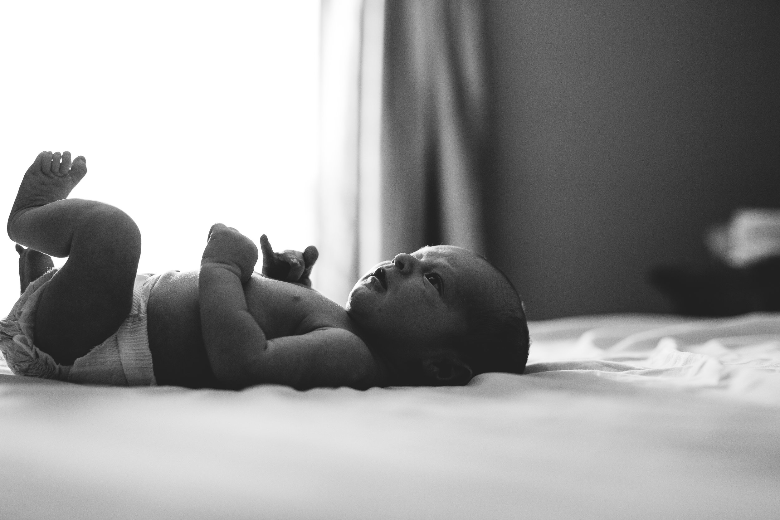 in home newborn photographer, st. pete fl 