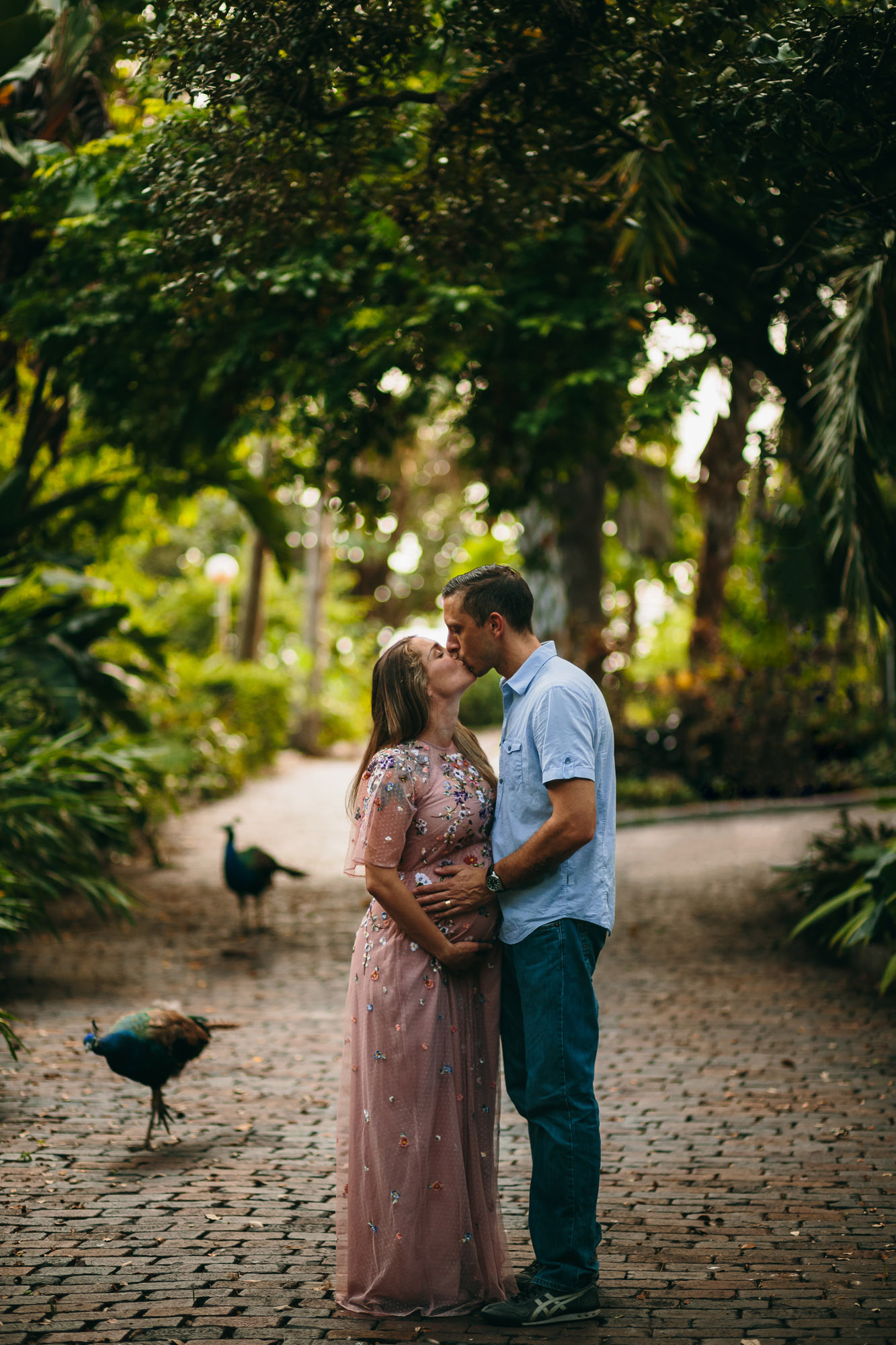 couples maternity photo session, tampa bay fl 