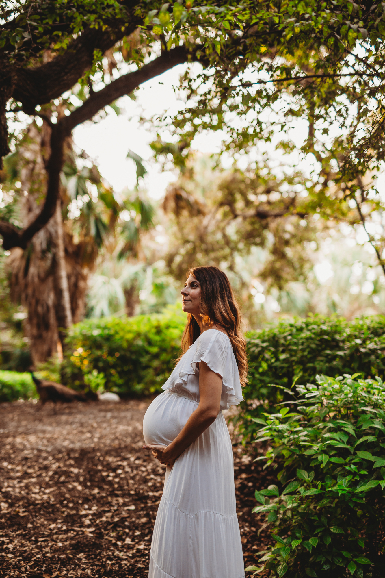 Pinellas County Maternity Photographer 