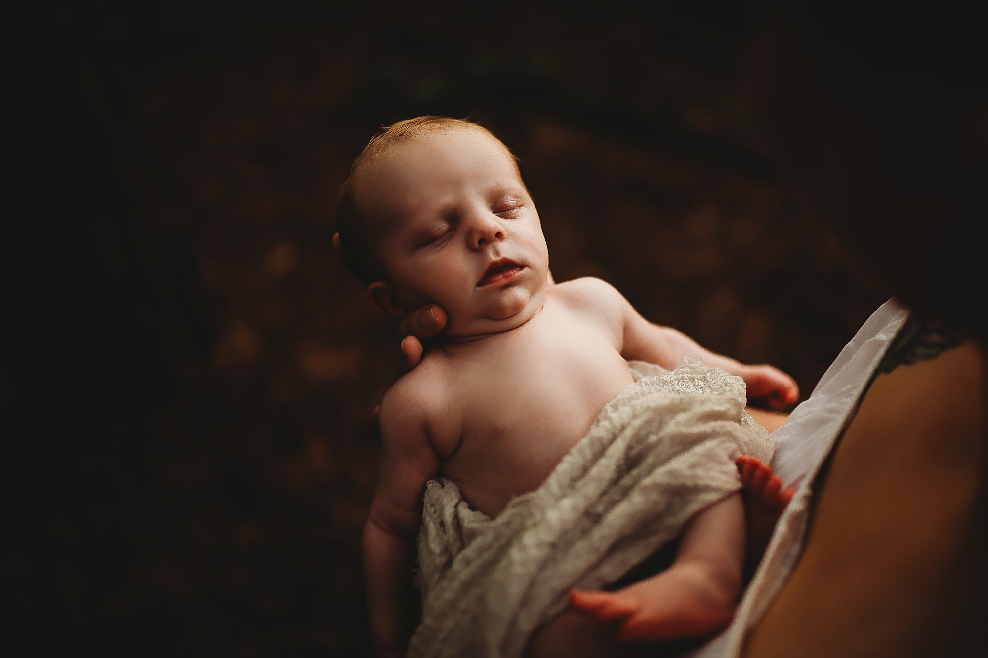 baby portraits, St. Pete FL Photographer 