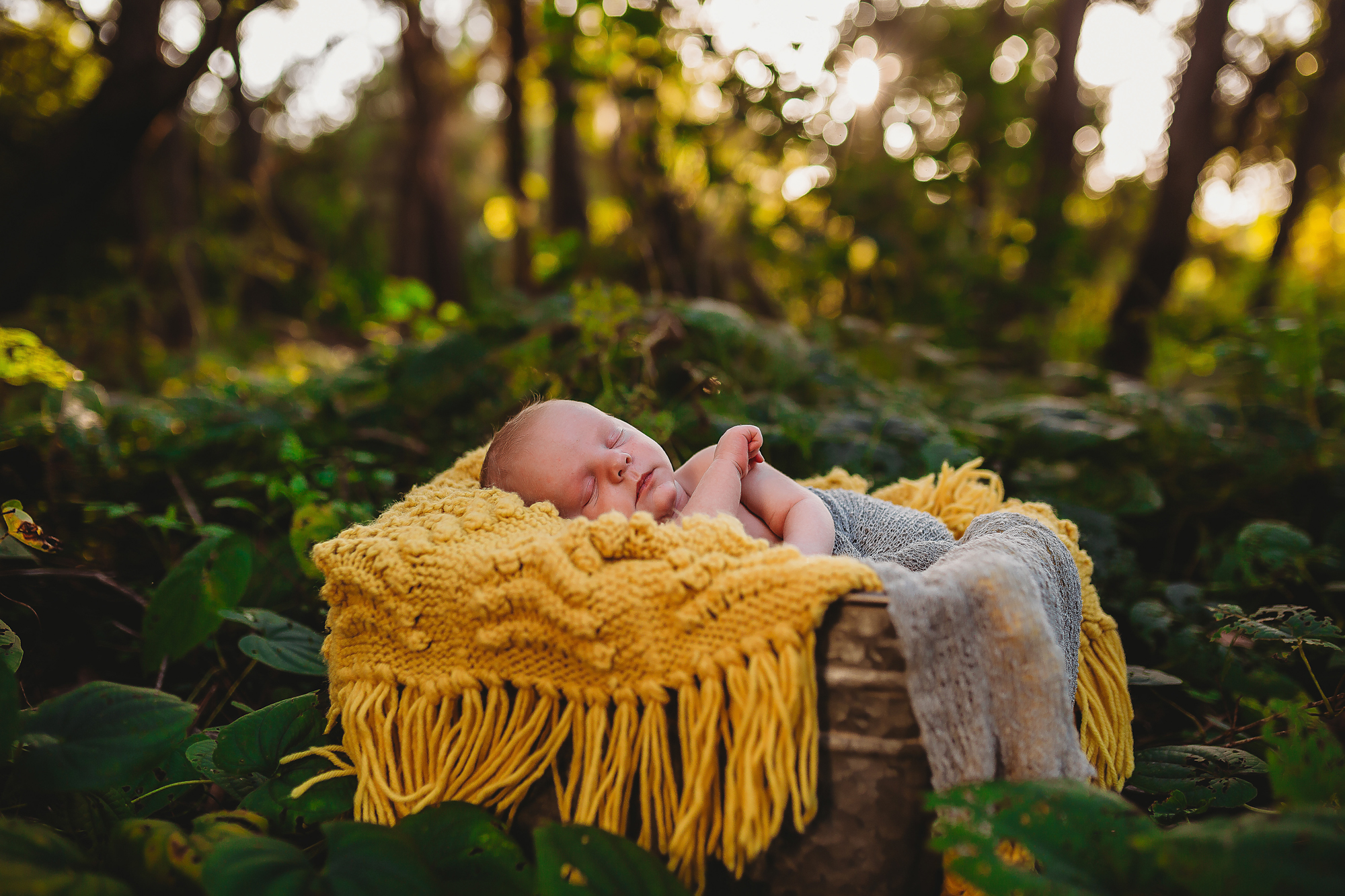 Outdoor Newborn Photographer, Pinellas County FL