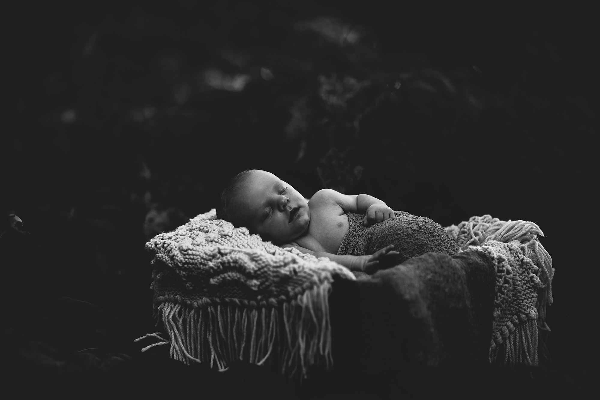 newborn portraits seminole fl 