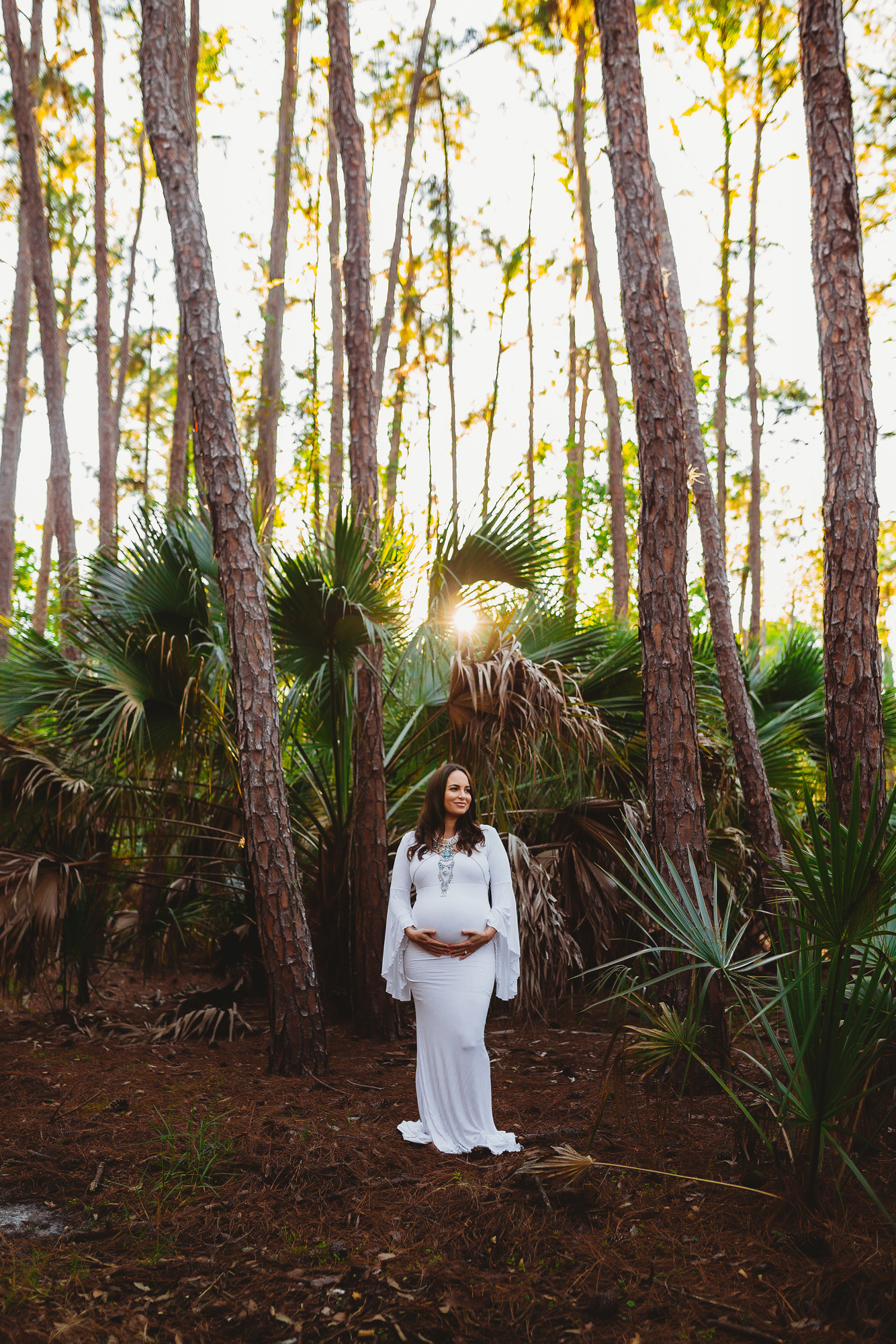 maternity portrait photography in palm harbor fl 
