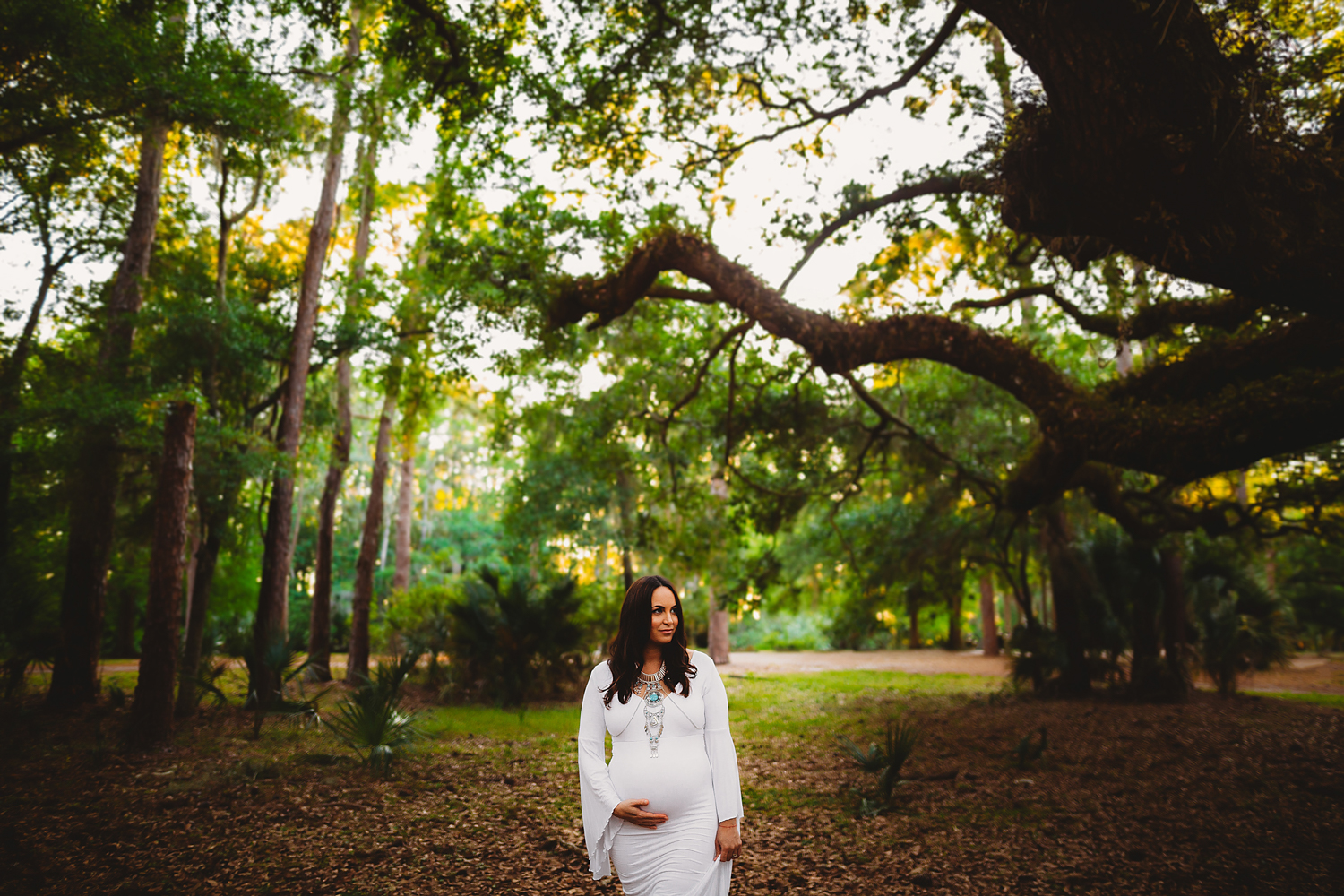 epic maternity photos, maternity photographer of pinellas county fl 