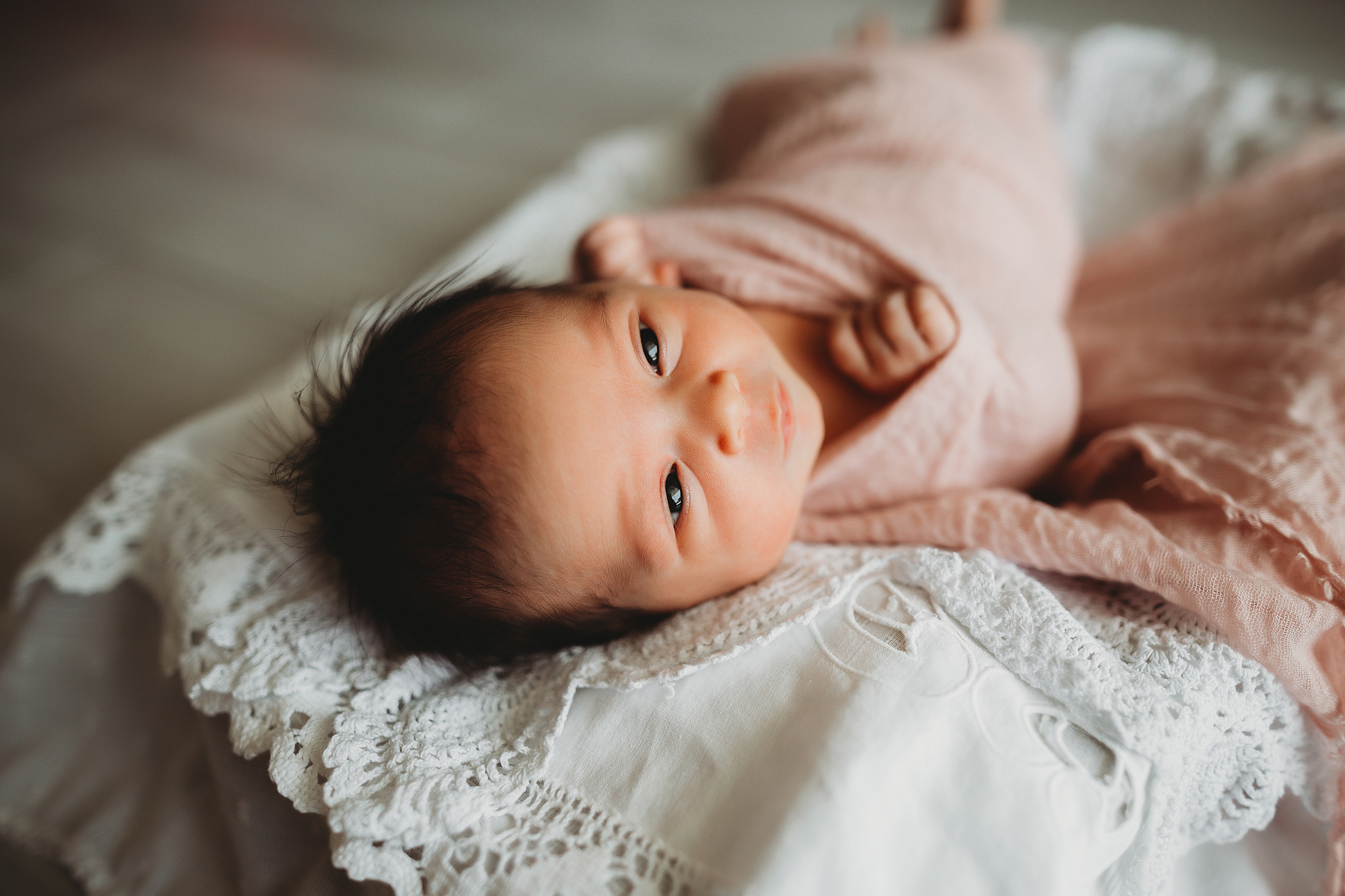 baby family photos, tampa bay newborn portrait artist