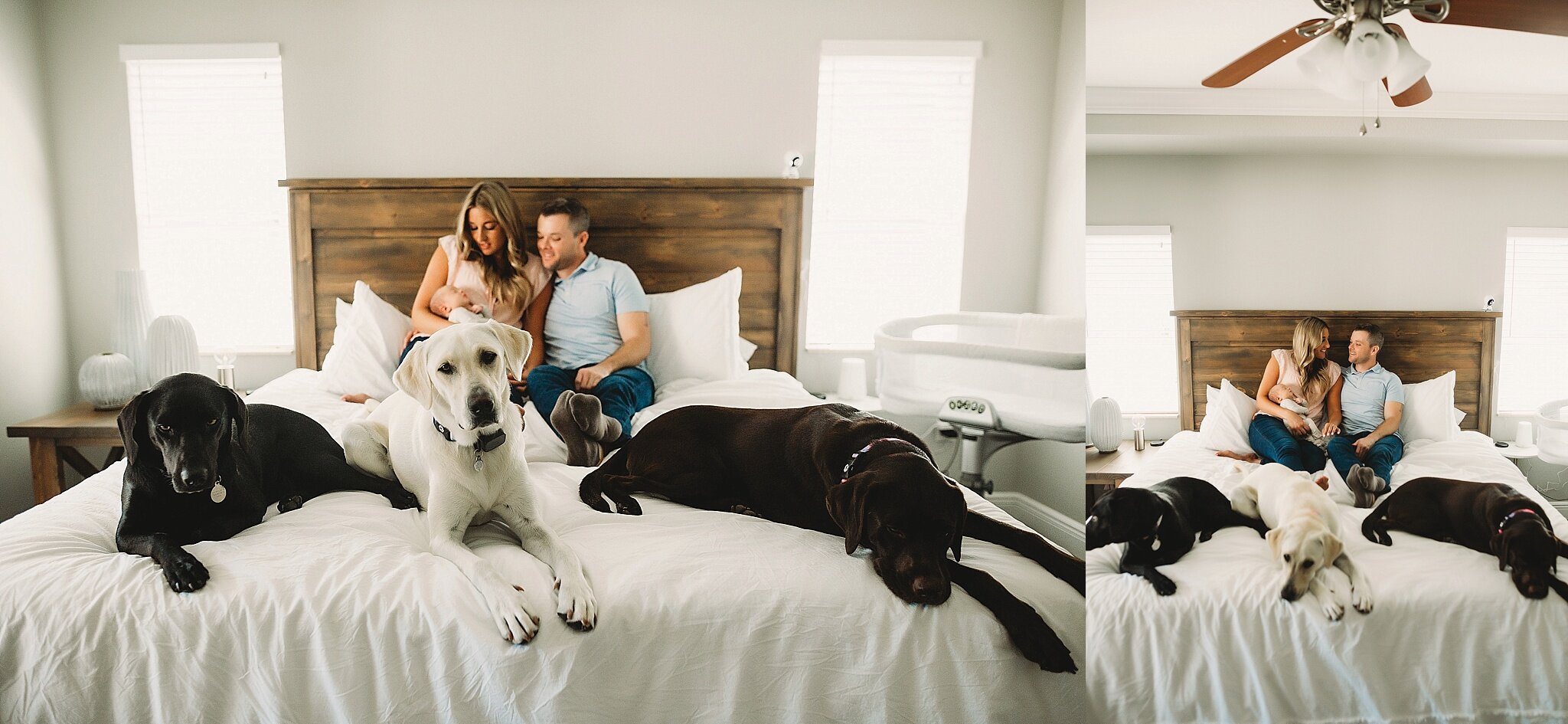 newborn and family photos with dogs, clearwater fl 