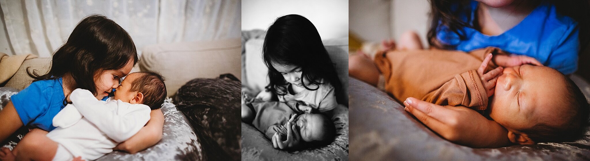 toddler and newborn photo shoot, lifestyle photographer st pete
