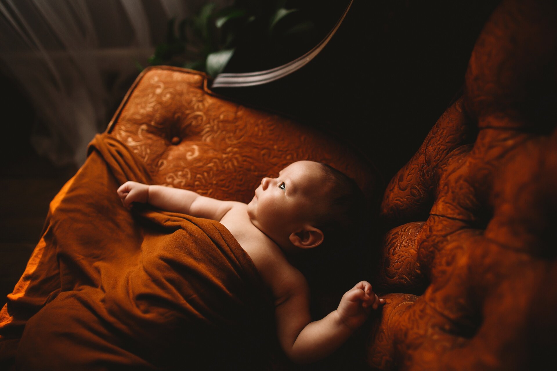 moody newborn and baby photos, st pete lifestyle photographer 