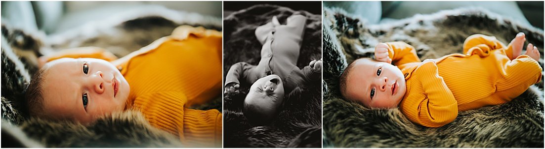 artistic newborn photos at home, pinellas baby portraits 